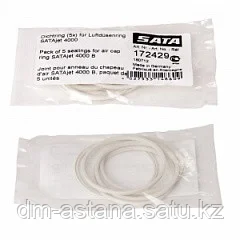 SATA НАБОР 172429 уплотнителей  для головки дюзы jet 4000B